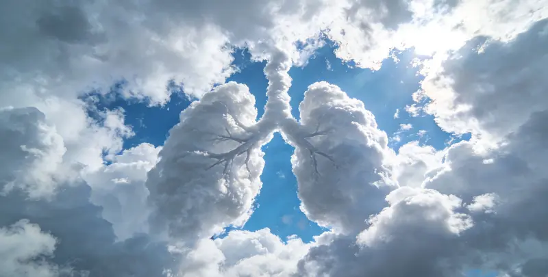 肺癌119基因检测图4