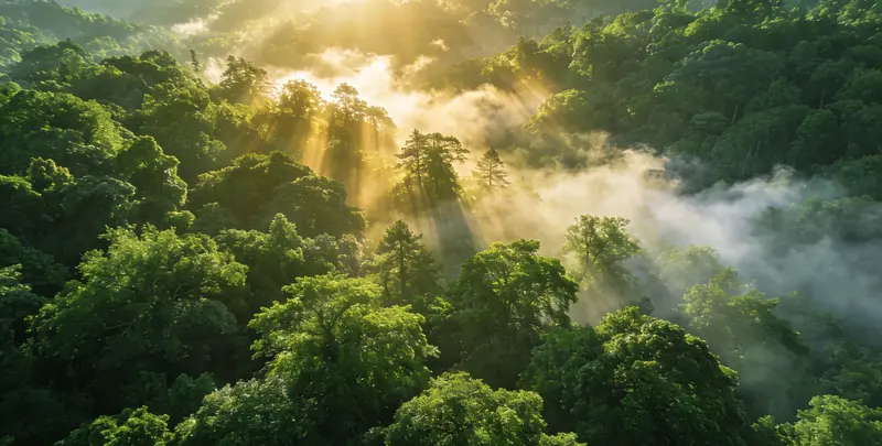 晋城肺癌（EGFR T790M)突变检测图片1